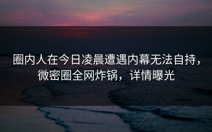 圈内人在今日凌晨遭遇内幕无法自持，微密圈全网炸锅，详情曝光